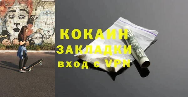 шишки Карпинск