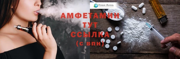 прущие крисы Каменка