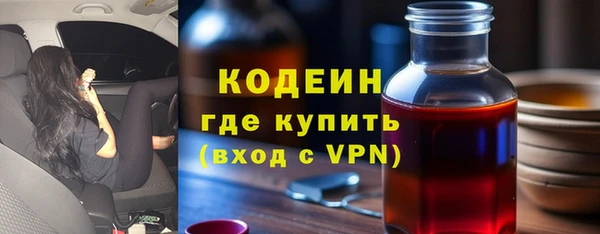 шишки Карпинск