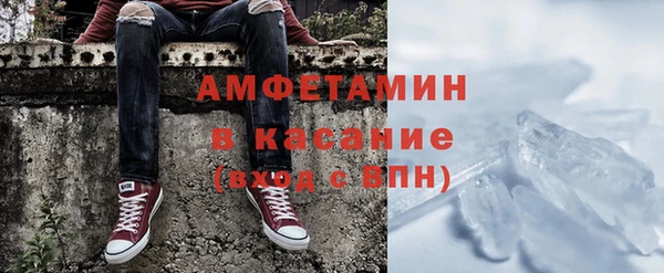 шишки Карпинск