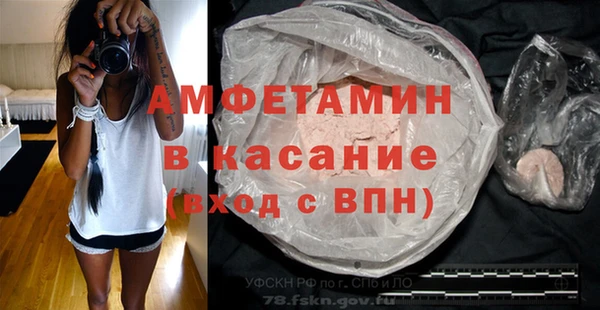 шишки Карпинск