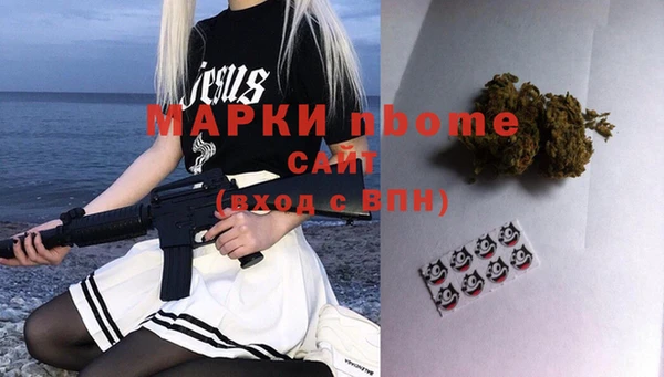шишки Карпинск