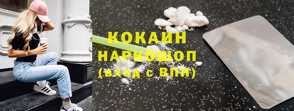 шишки Карпинск