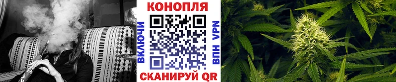 Купить  Миньяр  Каннабис планчик 